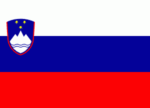 Slovenia mini flag