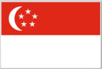 Singapore mini flag