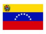 Venezuela mini flag