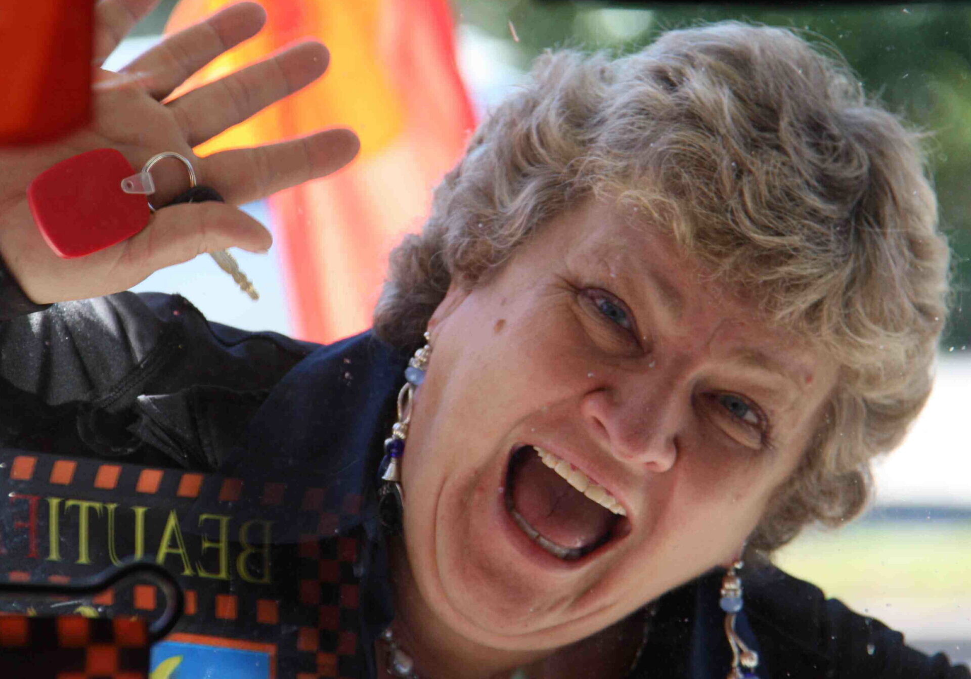 Crazy Flag Lady 2