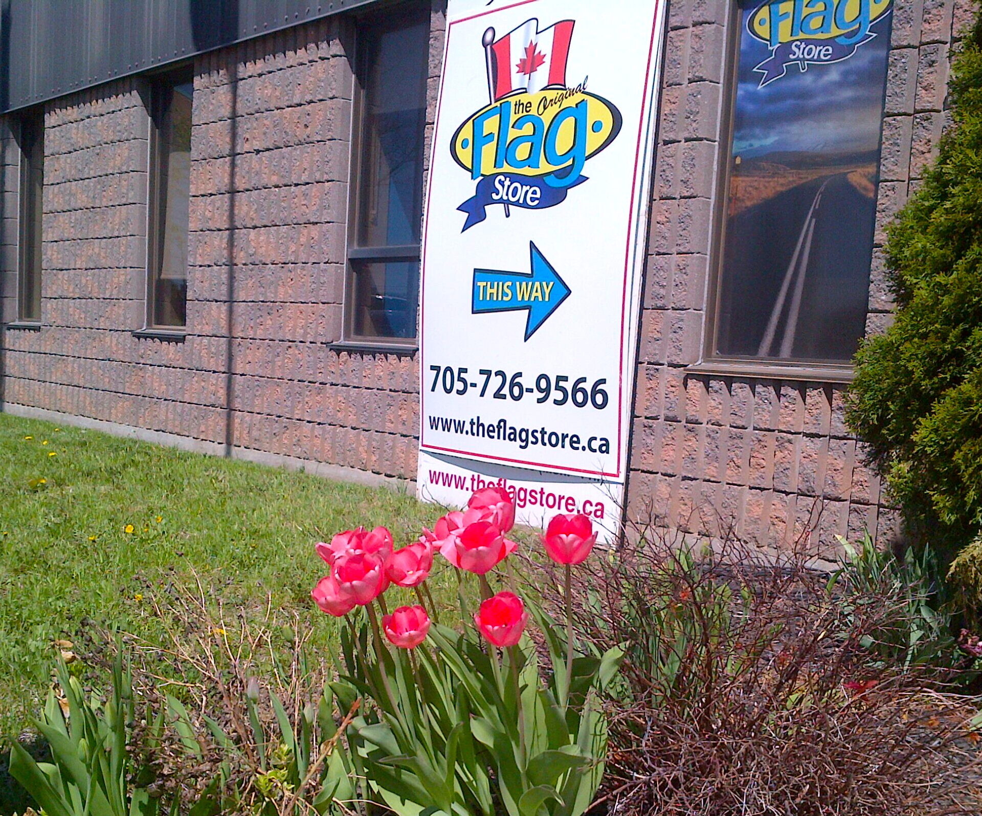 Barrie-20130506-00032