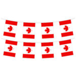 50' Canada Pennant String