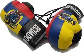 Ecuador boxing gloves
