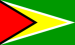 Guyana mini flag