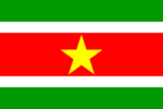 Suriname mini flag