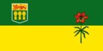 4"x6" Saskatchewan Desk Flag