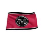 3'x5' Toronto Raptors 905 Flag