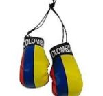 Columbia Boxing Gloves