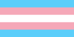 3'x5' Transgender Flag Lightweight Polyester